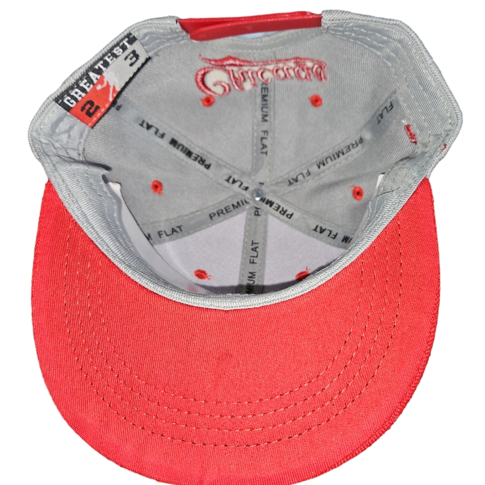 Michael Jordan Chicago bulls 23 snap back hat, NEW - Picture 3 of 6